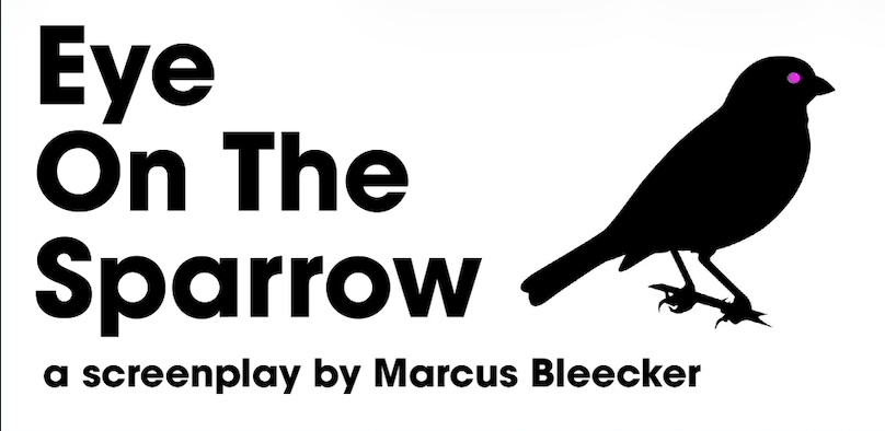 Eye on the Sparrow — Screenplay